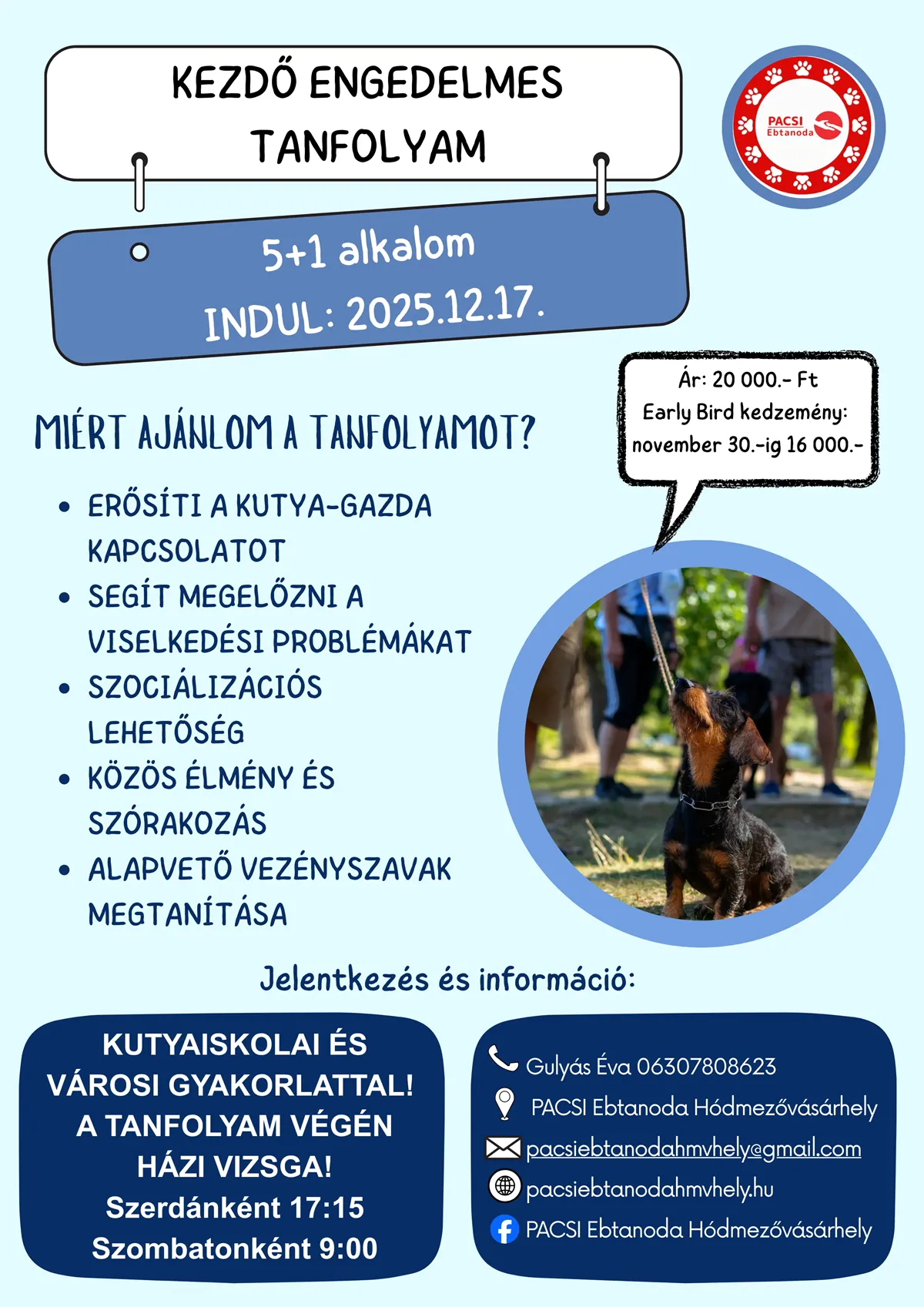 Kezdő engedelmes tanfolyam