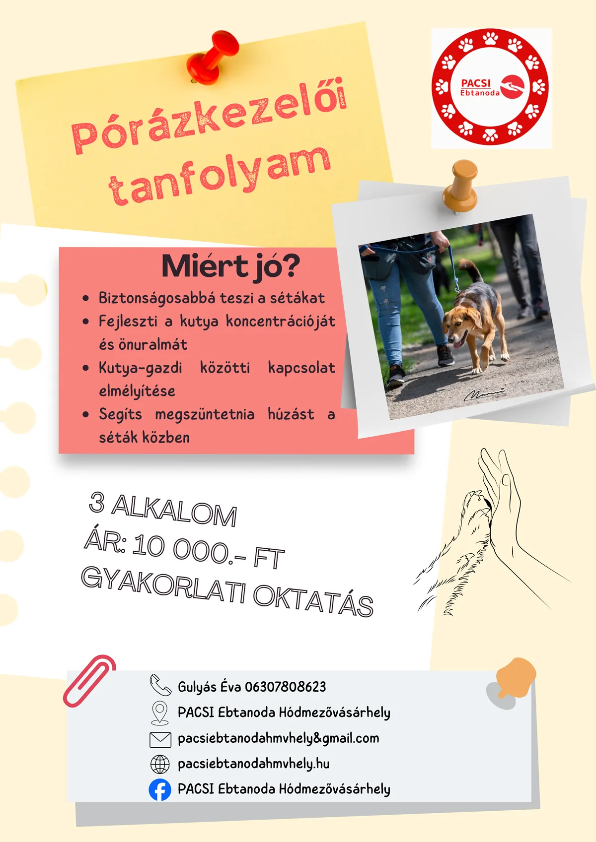 Pórázkezelő tanfolyam